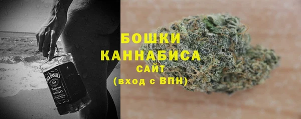 прущие грибы Аша